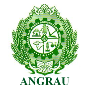 Kakatiya Constructions